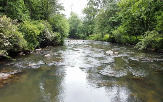 ellijay georgia creek